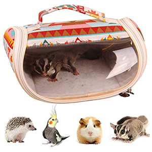 Small Animal Carriers